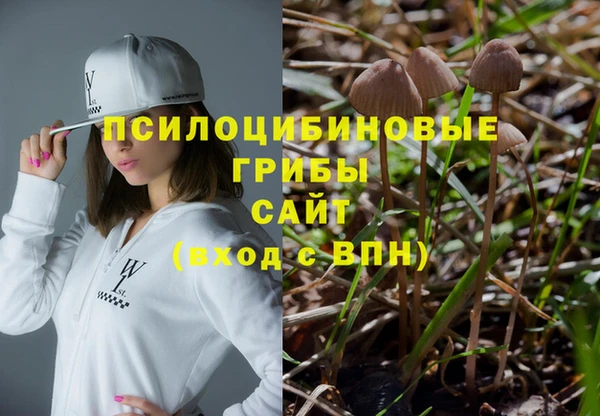 mdma Нязепетровск
