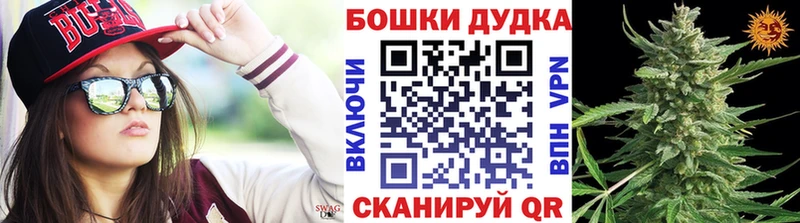 Бошки марихуана сатива  наркотики  Сасово 